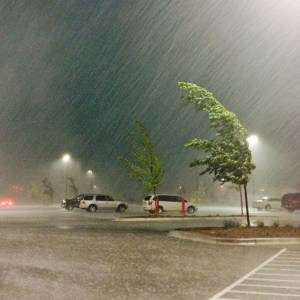 Wait out the storm at Costco