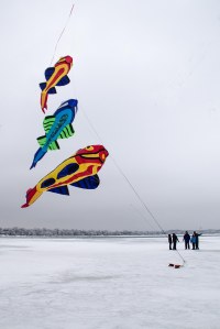 Iowa, Color the Wind Festival